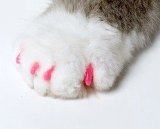 Soft Claws for Cats - CLS (Cleat Lock System), Size Medium, Color Pink