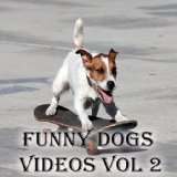 Funny Dog Videos Vol 2