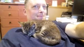 Baby Kitten Wants to Adopt Us | Family Votes if they Should Keep Kitty