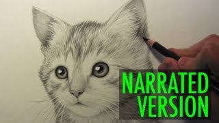 How to Draw a Kitten: Narrated Step by Step